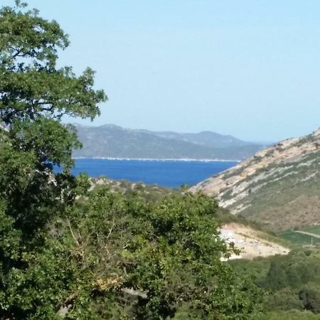 Ma Vie La Διαμέρισμα Patrimonio Εξωτερικό φωτογραφία