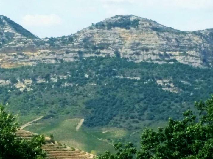 Ma Vie La Διαμέρισμα Patrimonio Εξωτερικό φωτογραφία