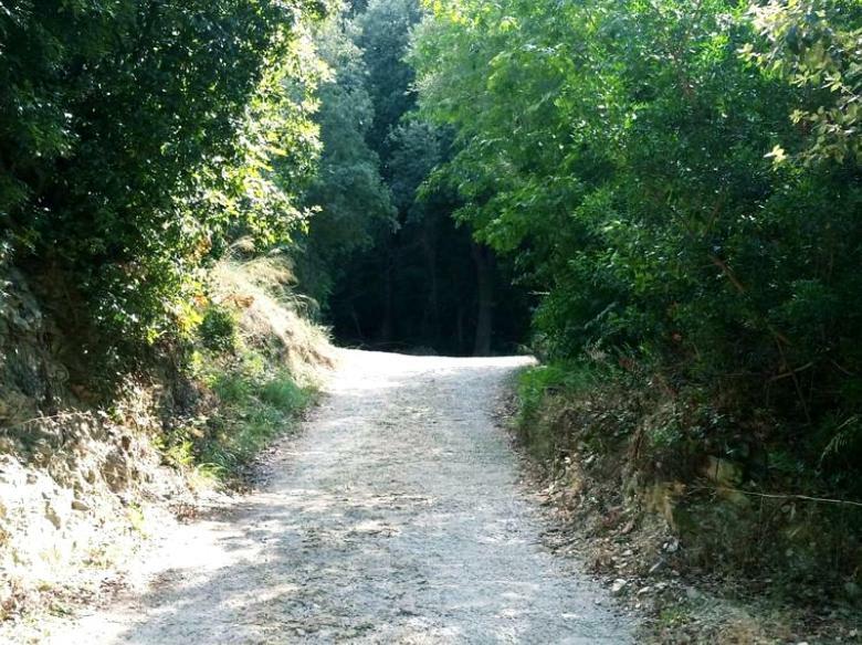 Ma Vie La Διαμέρισμα Patrimonio Εξωτερικό φωτογραφία