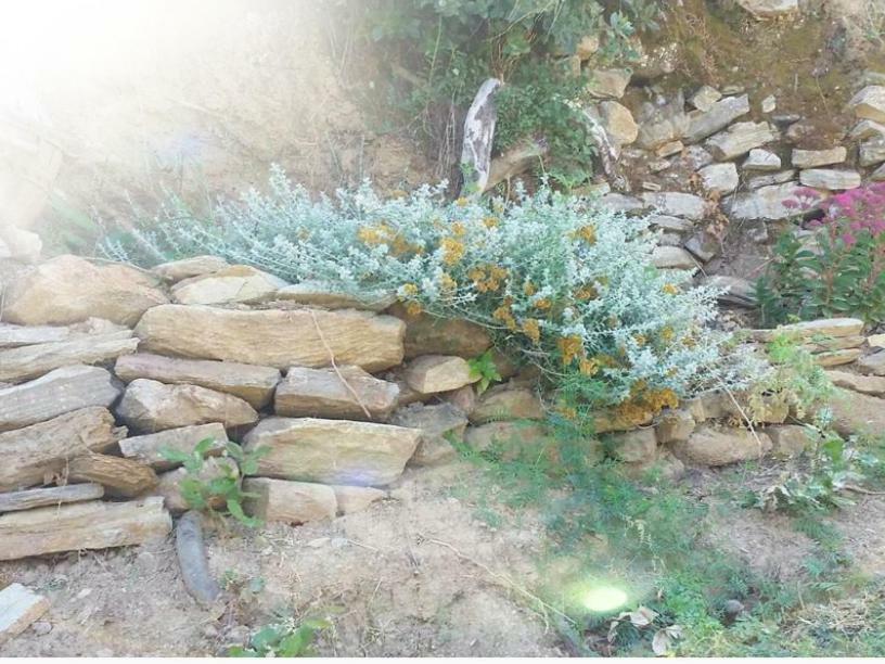 Ma Vie La Διαμέρισμα Patrimonio Εξωτερικό φωτογραφία